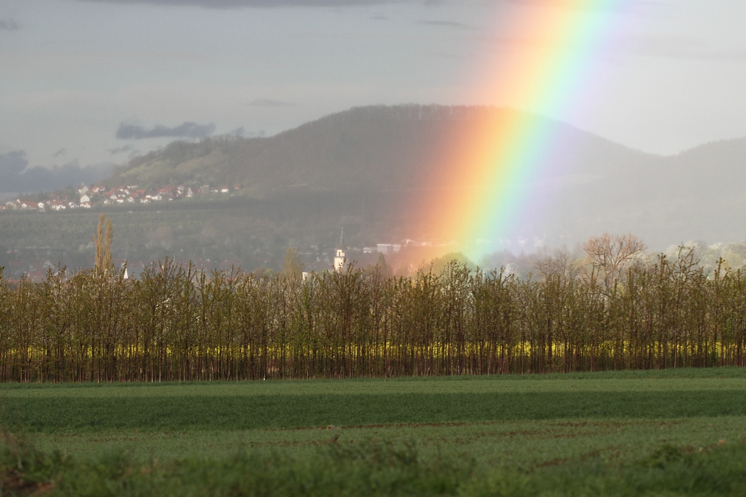 Regenbogen